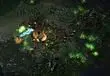 Server launch times set for Heart of the Swarm tomorrow