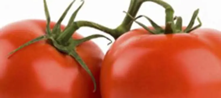 Fable III's Kinect games had tomato throwing and statue sculpting