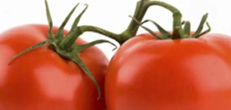 Fable III's Kinect games had tomato throwing and statue sculpting