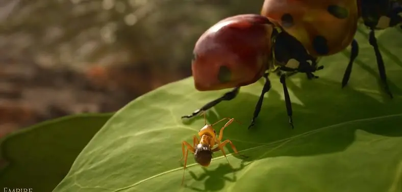 Microids publishing Empire of the Ants strategy game based on Bernard Werber's book series