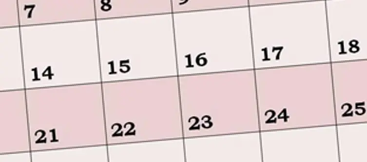 Xbox Live schedule till November end, 'Fan Appreciation Sale' next week