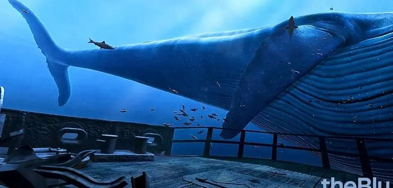 See A Whale For $1 In The Viveport VR Sale