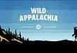 Fallout 76 Wild Appalachia Update Highlights