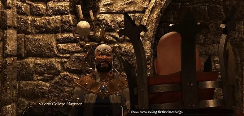Mount and Blade 2: Bannerlord's The Old World Mod Gets Different Damage Types Next Update