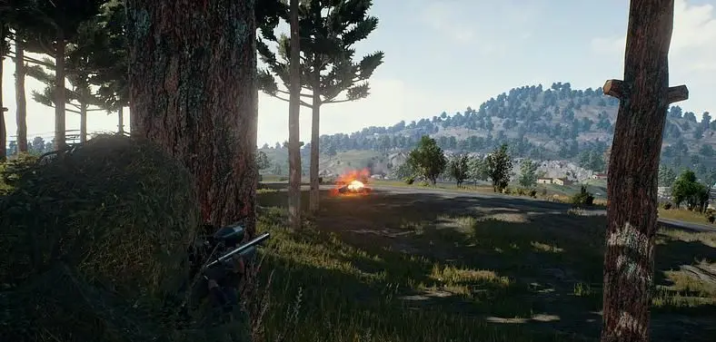 PlayerUnknown's Battlegrounds Went Down For A Few Hours And Many Fans Had No Idea Why