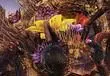 Fallout 76 The Big Bloom Event 2025 Start and End Dates