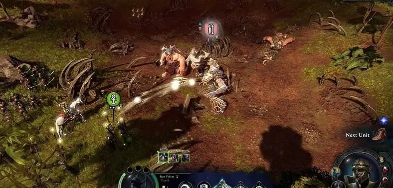 Does Age of Wonders 4 Support Crossplay between Platforms?