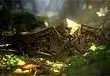 Microsoft: Fable II and Halo Wars join Xbox 360 "Classics collection"