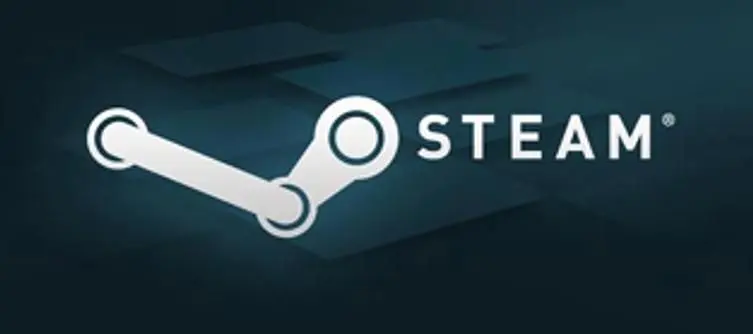 Steam "dangerous" if left unchallenged