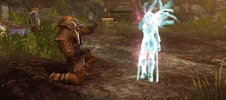Two new companions added to Neverwinter