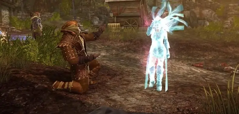 Two new companions added to Neverwinter
