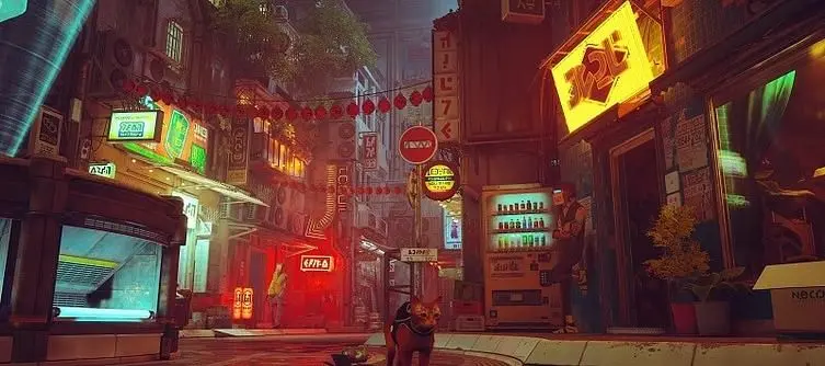 Stray HDR Support - What to Know