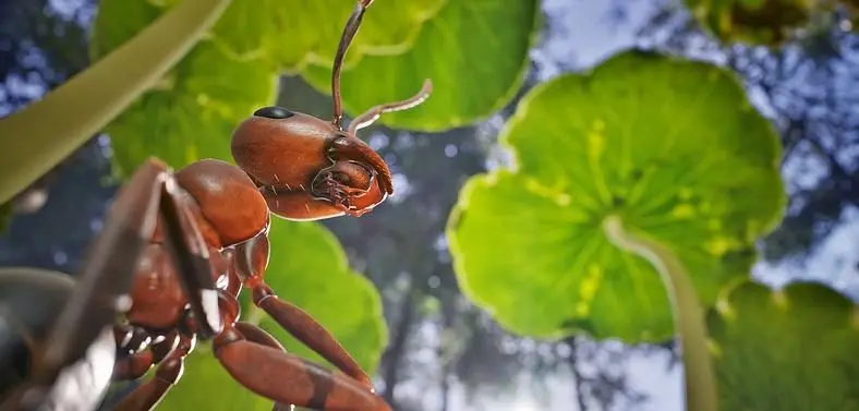 Empire of the Ants creative director Renaud Charpentier discusses the process of bringing the little big RTS to life