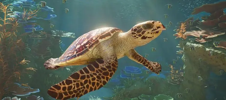 Planet Zoo 2 Animals List