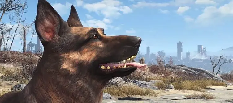 E3 2015: Bethesda assures fans that Fallout 4's canine pal Dogmeat is invincible