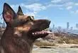 E3 2015: Bethesda assures fans that Fallout 4's canine pal Dogmeat is invincible