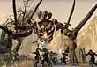 The Elder Scrolls Online Daily Rewards - What Do You Get Logging in This Month?