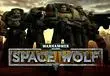 Warhammer 40,000 Space Wolf Interview