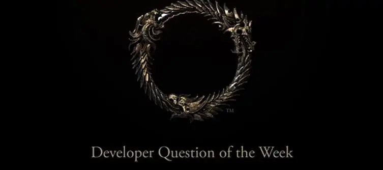 Elder Scrolls Online team asks what are our top 3 items we "never leave without"