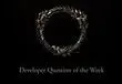 Elder Scrolls Online team asks what are our top 3 items we "never leave without"