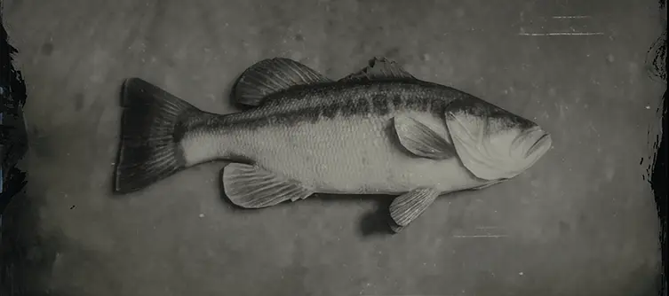 Red Dead Online Largemouth Bass Location Guide