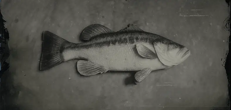 Red Dead Online Largemouth Bass Location Guide