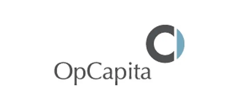 Hilco and OpCapita possible suitors for GAME
