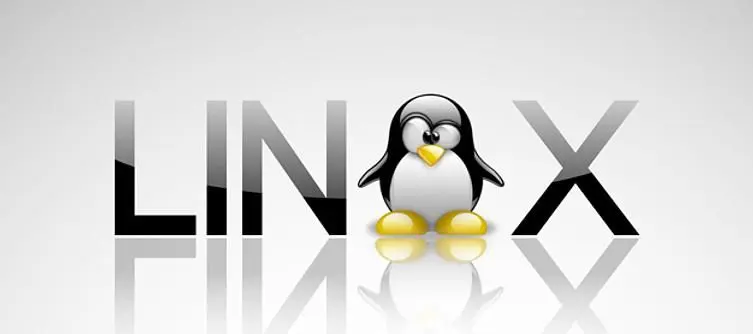 GOG.com "to support Linux" with Ubuntu and Mint, "not ready to launch" yet