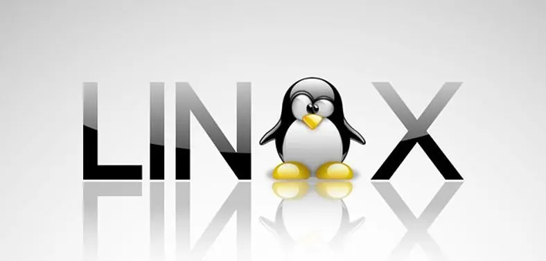 GOG.com "to support Linux" with Ubuntu and Mint, "not ready to launch" yet