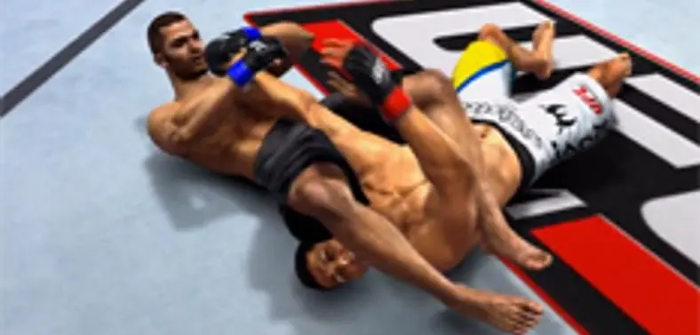 THQ has included 'Online Pass' codes for UFC Undisputed 2010