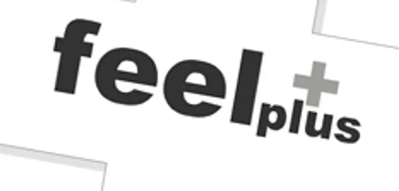 Tokyo-based Feelplus developing "large scale RPG for Microsoft"