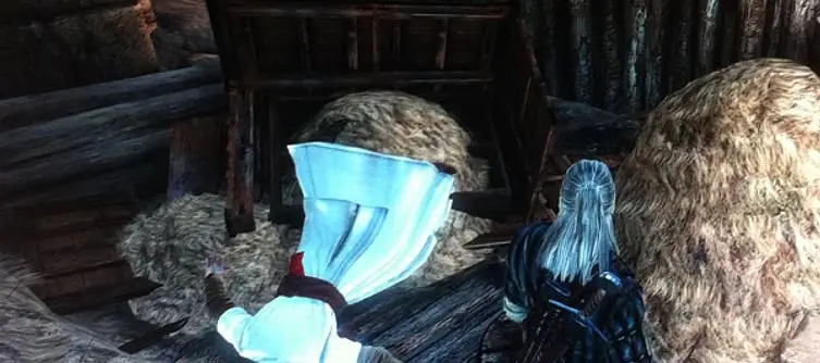 Altair makes a cameo in The Witcher 2