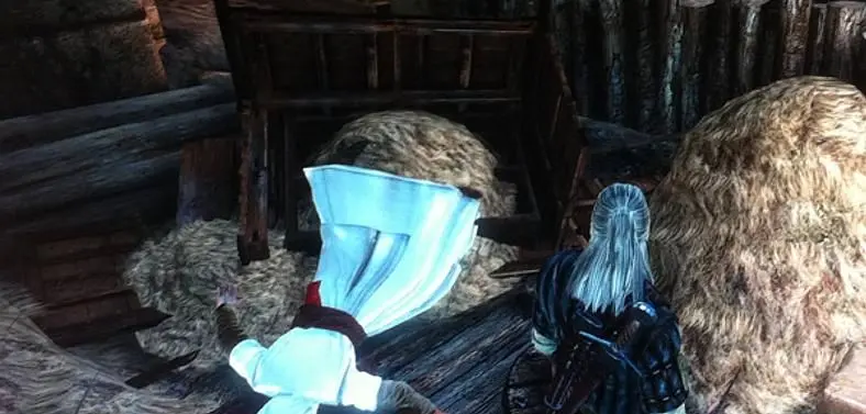 Altair makes a cameo in The Witcher 2