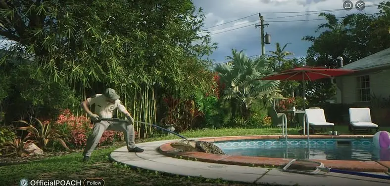 What Animal Companions will there be in GTA 6?