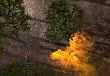 New Gameplay Footage Showcases The Strategies Of Total War: Warhammer II's High Elves