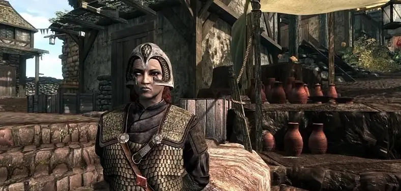 Cyrodiil and Morrowind Are Looking Good Within The Skyrim Engine