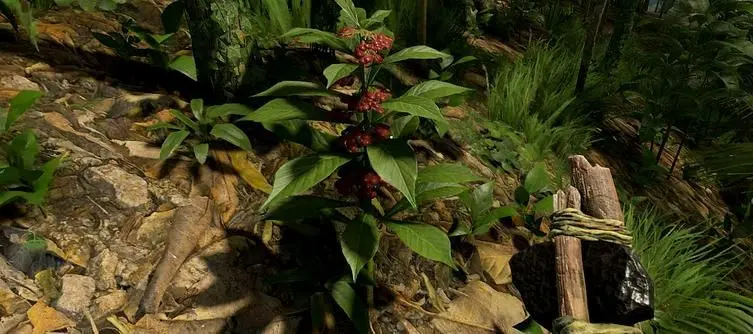 Green Hell Psychotria Location - How to find the plant to make Ayahuasca