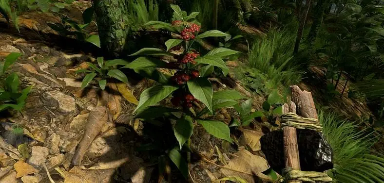 Green Hell Psychotria Location - How to find the plant to make Ayahuasca