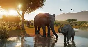 Planet Zoo 2's First Feature Focus Video Showcases New Emotion System