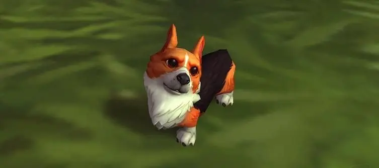 Blizzard Is Giving Away A Corgi Pup For World of Warcraft's 12th Anniversary 