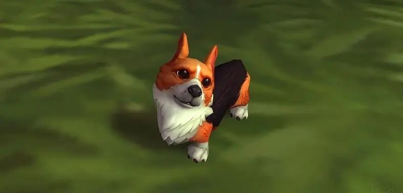 Blizzard Is Giving Away A Corgi Pup For World of Warcraft's 12th Anniversary 