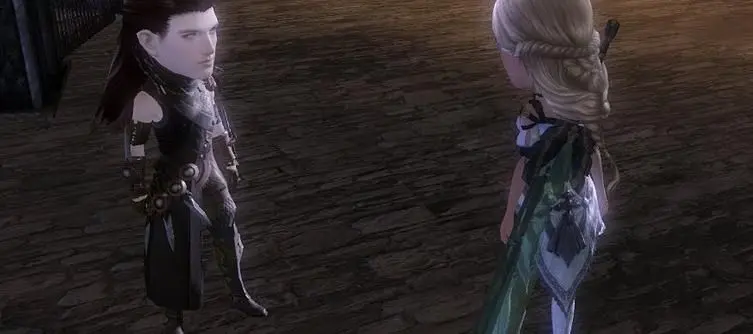 Everybody in Guild Wars 2 has bobbleheads