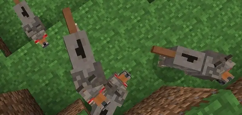 1.4.1 Minecraft update makes wet wolves less scary