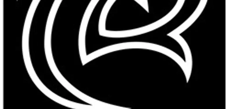 Torchlight co-founders leave Runic Games