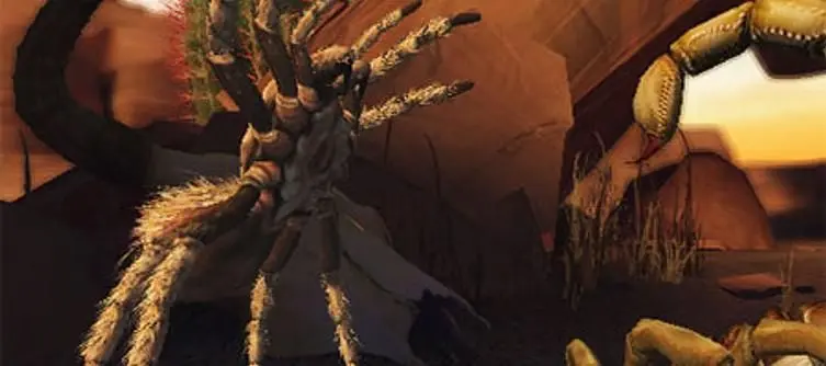 Deadly Creatures Wii info and screenshots