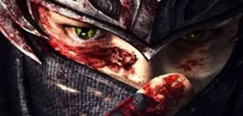 Tecmo has revealed Ninja Gaiden 3