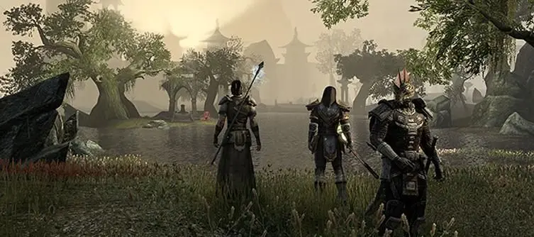 Over 80% of support emails 'black market' related in The Elder Scrolls Online