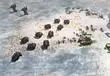 Fractured Alliance Promises to Revive Classic Strategy Battles in 2026