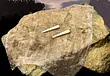 Green Hell Bone Needle - How to craft and remove a worm parasite