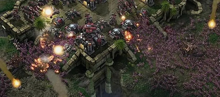 Starcraft II: Heart of the Swarm still a year away